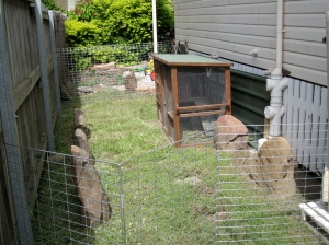 Their initial set-up, away from the other girls for quarantine..